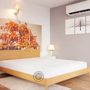 Teakwood bed with storage and boxes