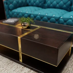 Sheesham Wood Coffee Table with Side Storage, Polished (Gold Plated)